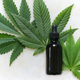Image for article titled The Best CBD Products To Help You Relax, Sleep, and Explain to Your Mom Why It’s (Mostly) Not Drugs